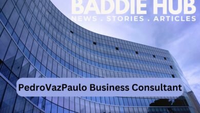 PedroVazPaulo Business Consultant