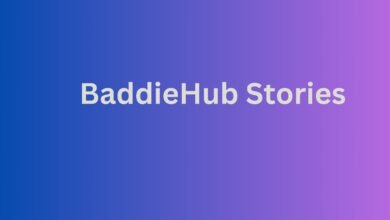 BaddieHub Stories